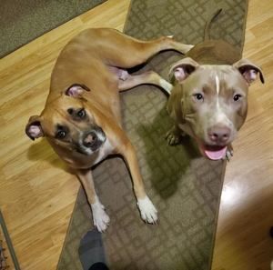 Meet your Posher, Nick